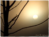 Campo de San Roque - Camino de Santiago Primitivo -  Amanecer con niebla - Tineo - Asturias