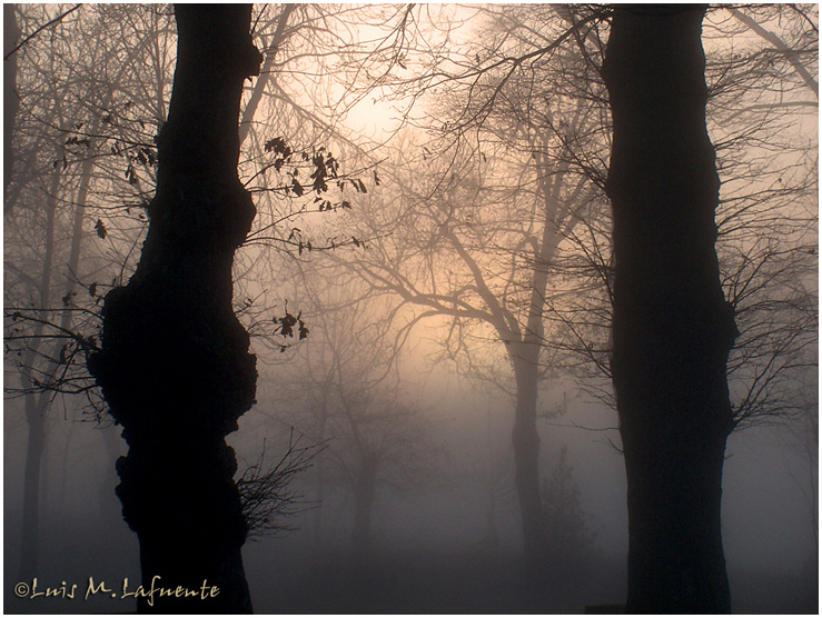 Amanece entre la niebla - Tineo - Asturias - Campo de San Roque