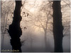 Campo de San Roque - Camino Primitivo de Santiago - Amanecer - Tineo - Asturias