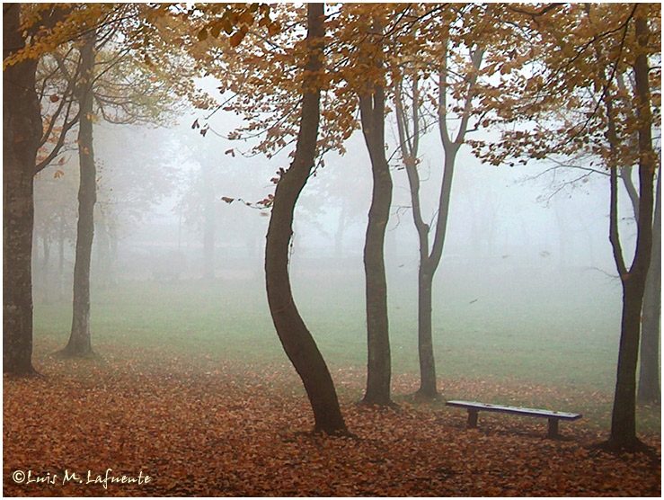 Campo de San Roque en Otoño