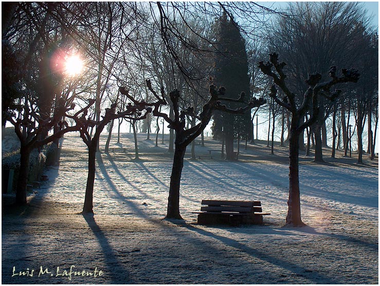 Campo de San Roque - Camino de Santiago Primitivo -  Tineo -Asturias - ( pláganos, arces en invierno)