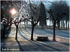 Campo de San Roque - Camino de Santiago Primitivo -  Tineo -Asturias - ( pláganos, arces en invierno)