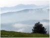 Vista desde Tineo hacia el Sudeste, Camino de Santiago, Tineo - Asturias